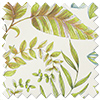 Paloma, Kiwi - Twist&Fit Roman Blind